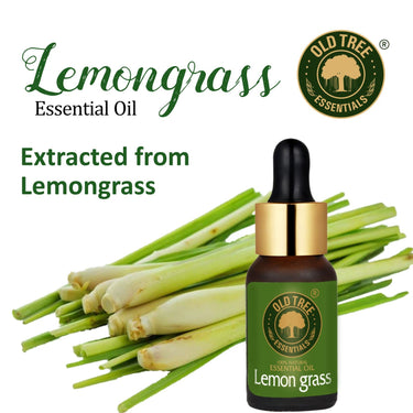 Old Tree Lemongrass Essential Oil (15ml) - for Skin, Hair Care, Insect Repellant, Home Fragrance and Aromatherapy - Pure and Natural Undiluted Oil with Glass Dropper